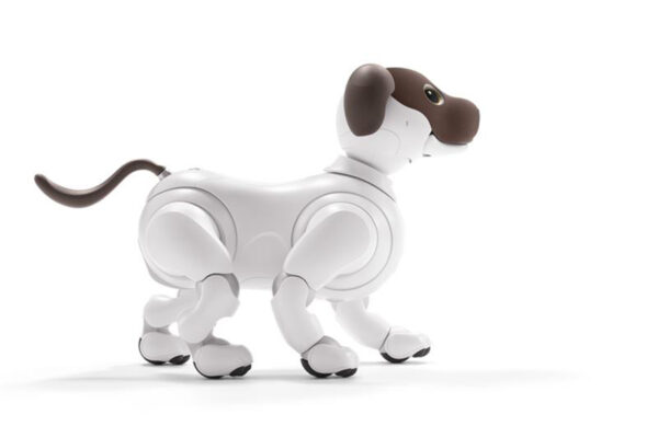 aibo ココアシフォン エディション