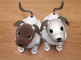 aibo ココアシフォン エディション