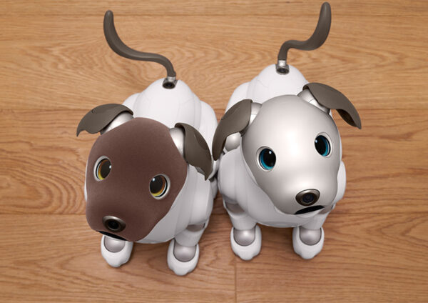 aibo ココアシフォン エディション