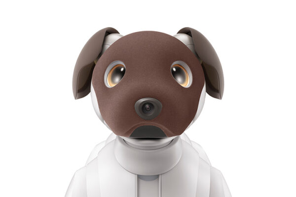 aibo ココアシフォン エディション