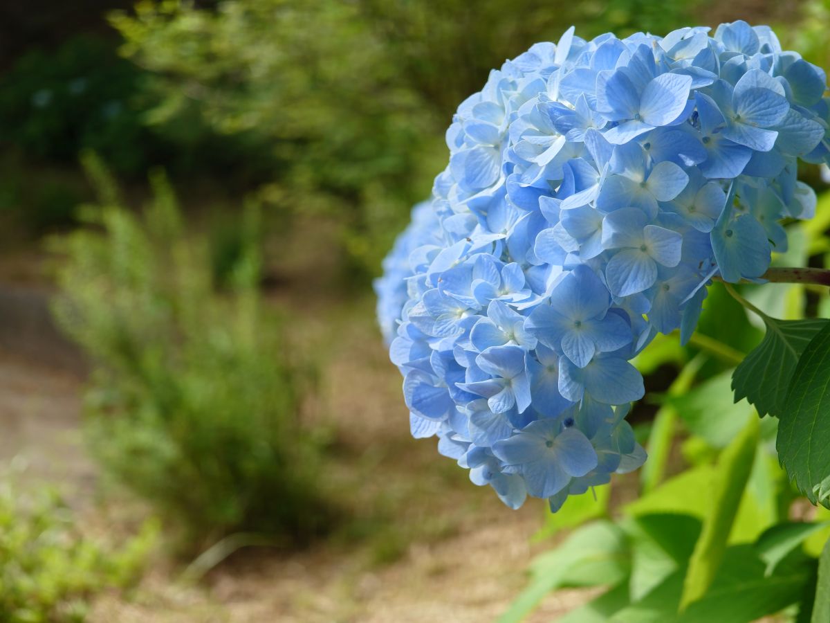 「盛る」ではなく「見たままに近い」