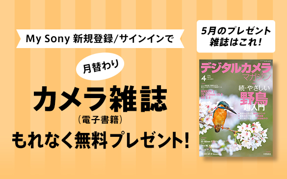 My Sony カメラ雑誌 プレゼント