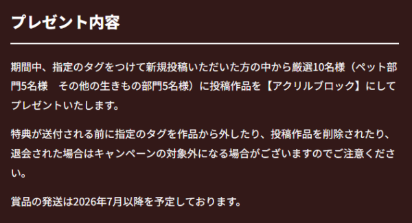 プレゼント内容
