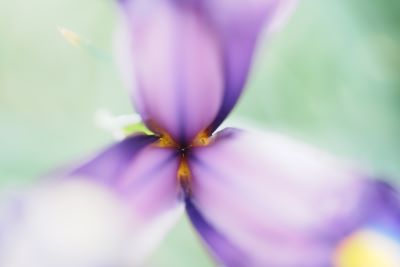 わたなべももの写真講座