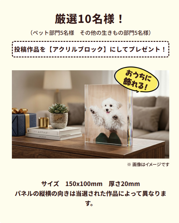 生きものフォト ムービー キャンペーン