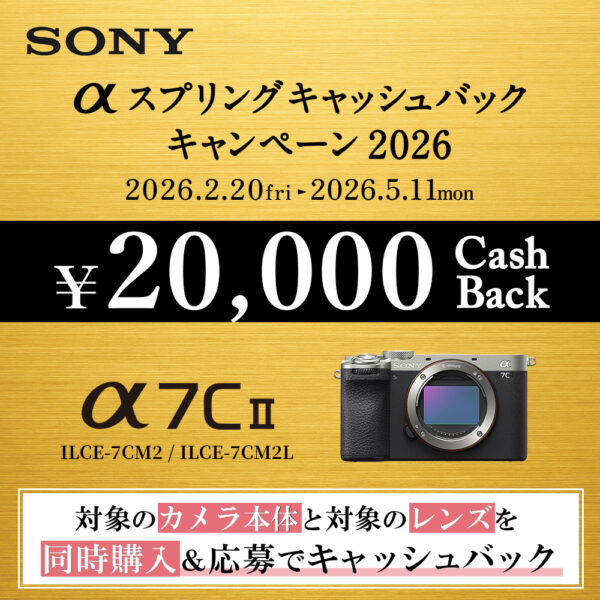 α7C II