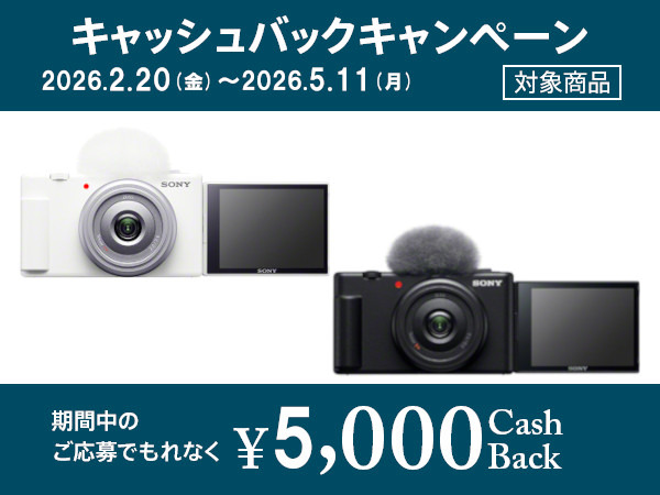 ZV-1F 