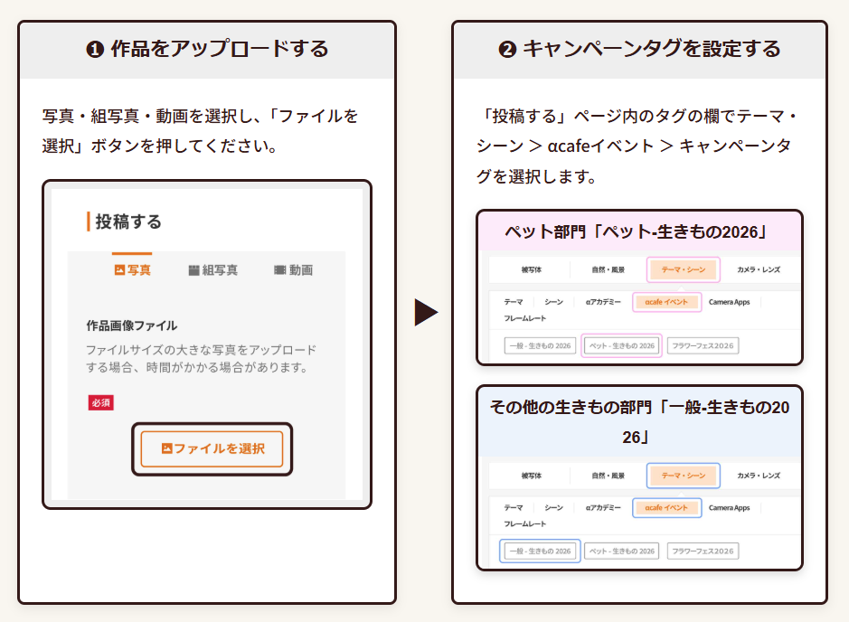 αcafe 生きものフォト&ムービー