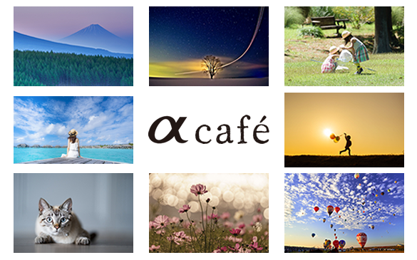  αcafe 