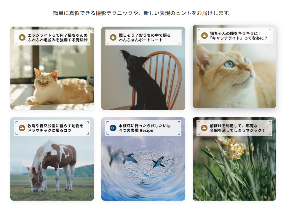 撮り方のコツ