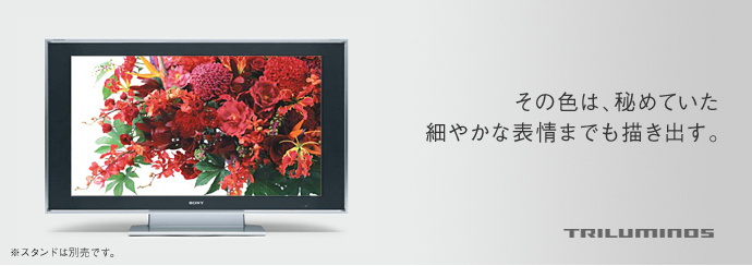 QUALIA 005