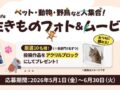 αcafe 生きものフォト&ムービー