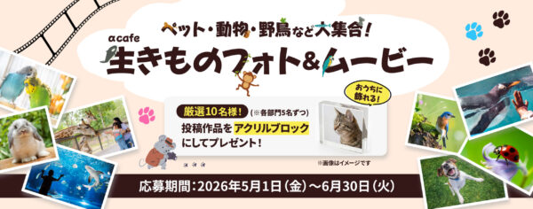 生きものフォト ムービー キャンペーン