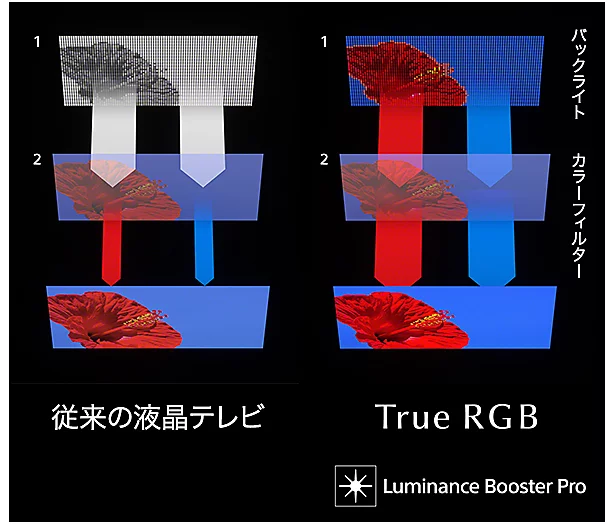 BRAVIA 9 II True RGB
