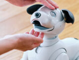 aibo 販売終了