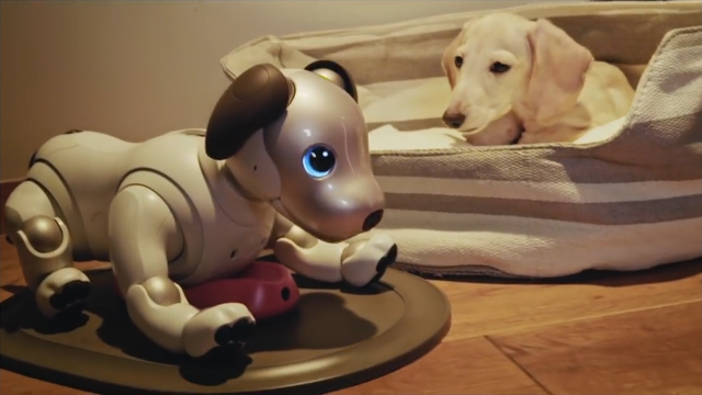 aibo 販売終了
