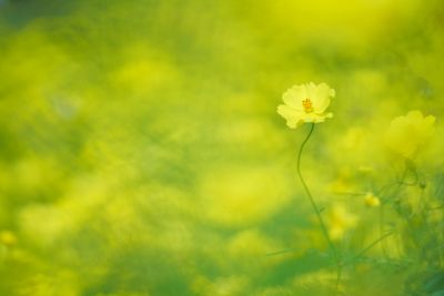 わたなべももの写真講座