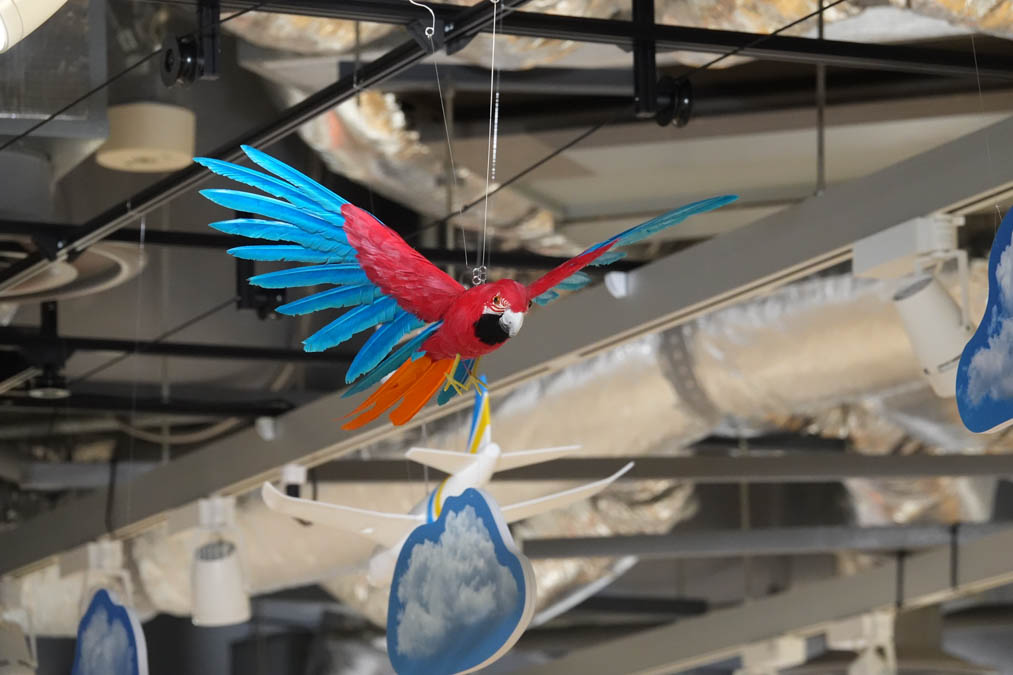 野鳥撮影