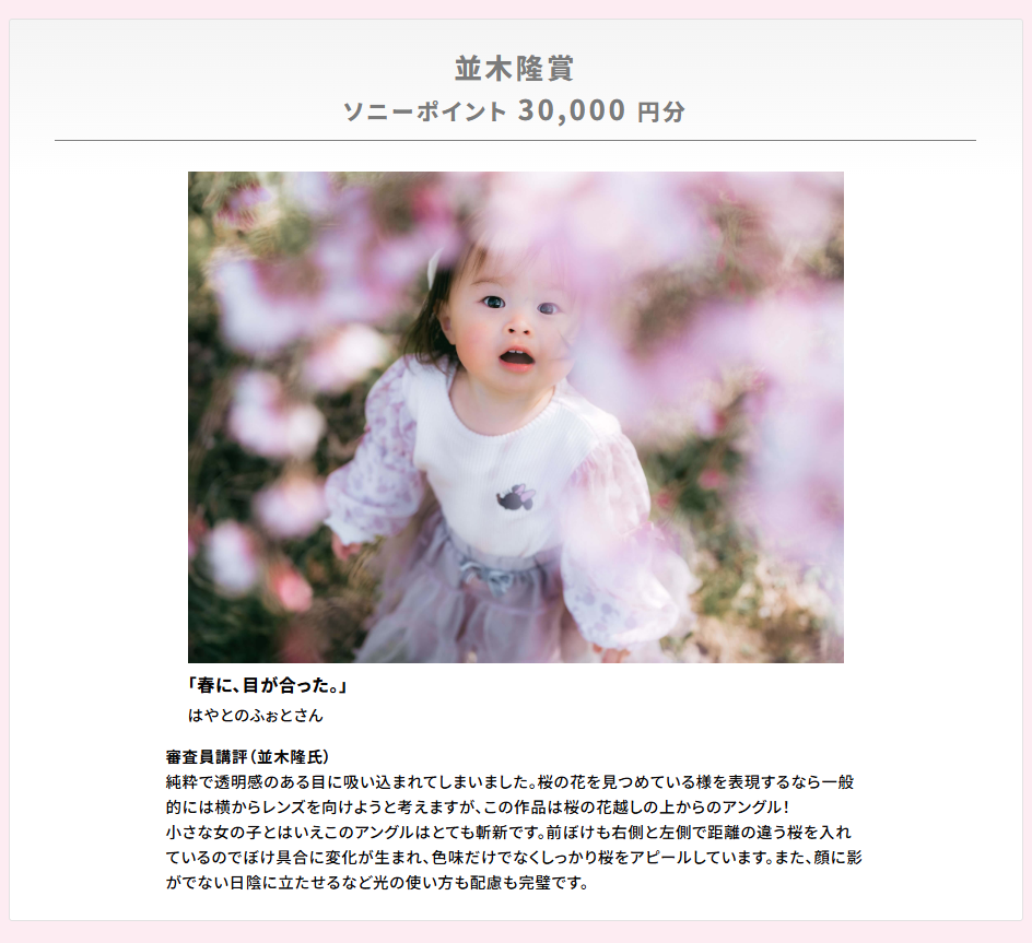 春に、目が合った。