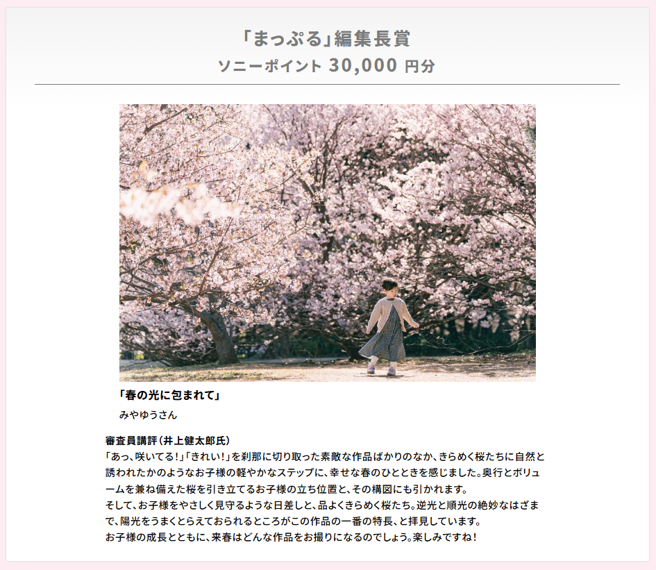 春の光に包まれて