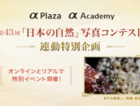 第43回「日本の自然」写真コンテスト連動特別企画