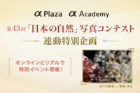 第43回「日本の自然」写真コンテスト連動特別企画