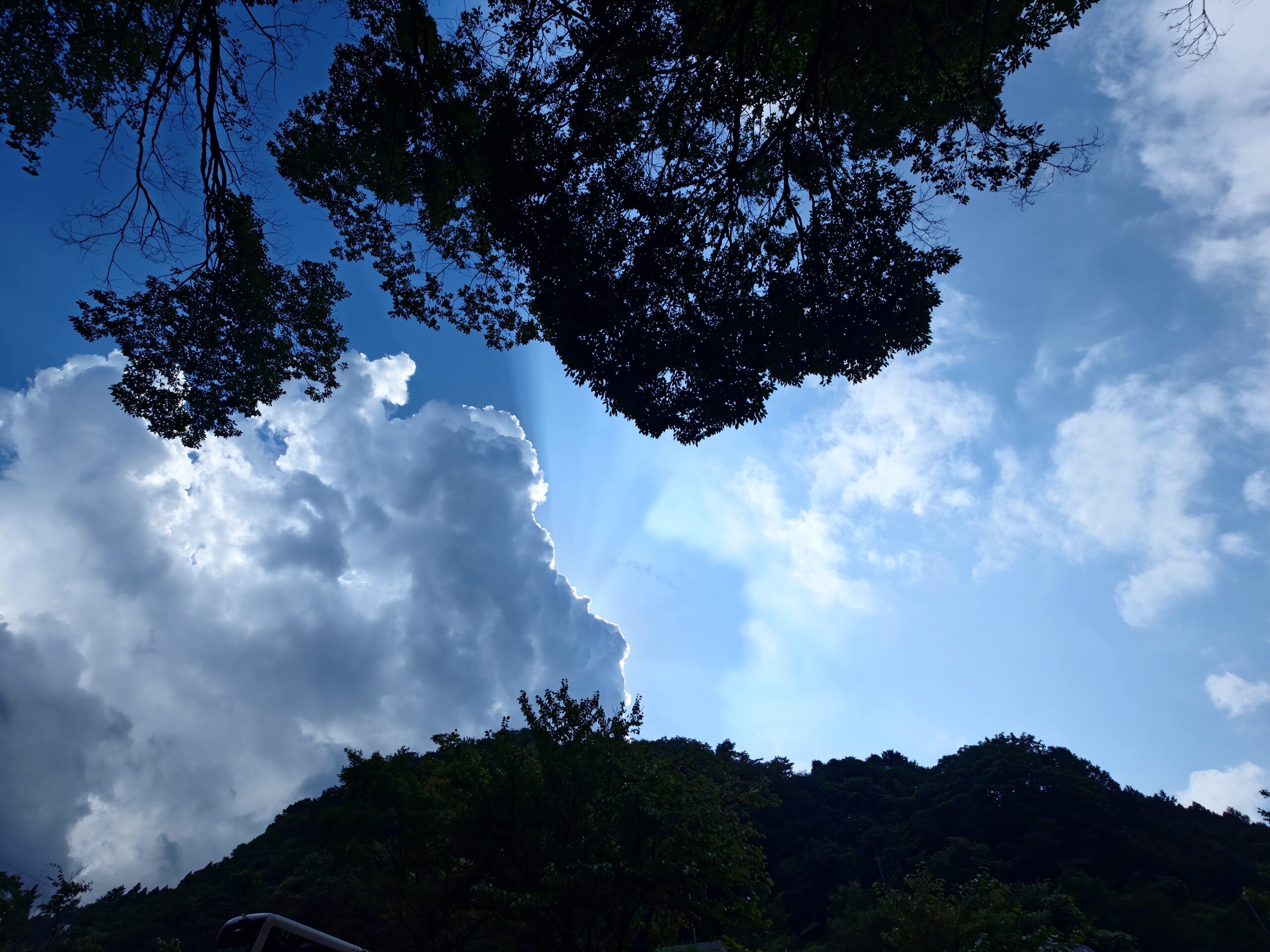 Xperia 1 VIII 