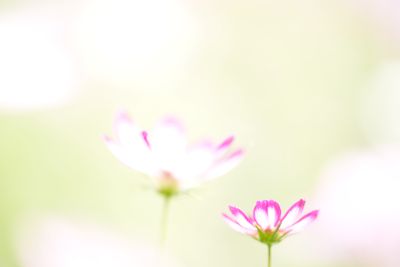 並木隆の写真講座