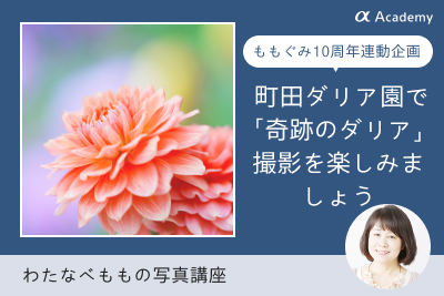 わたなべももの写真講座