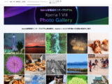 Xperia 1 VIII Photo Gallery