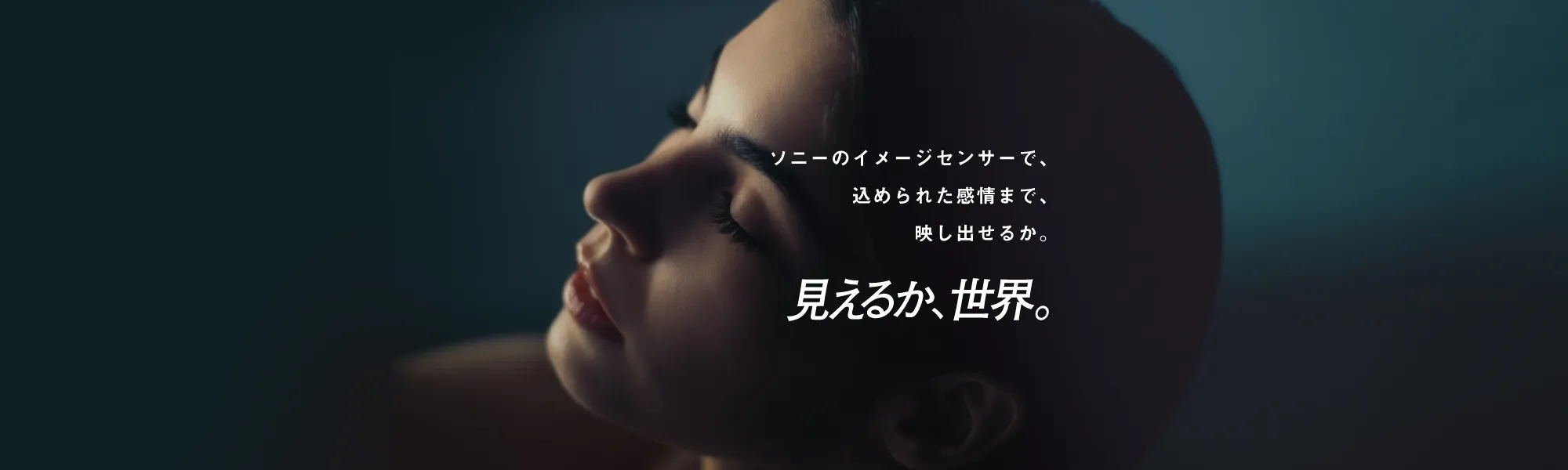ソニーセミコンダクタソリューションズ株式会社