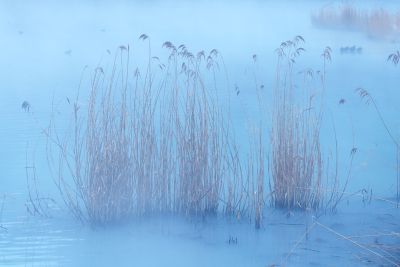 高橋良典の写真講座