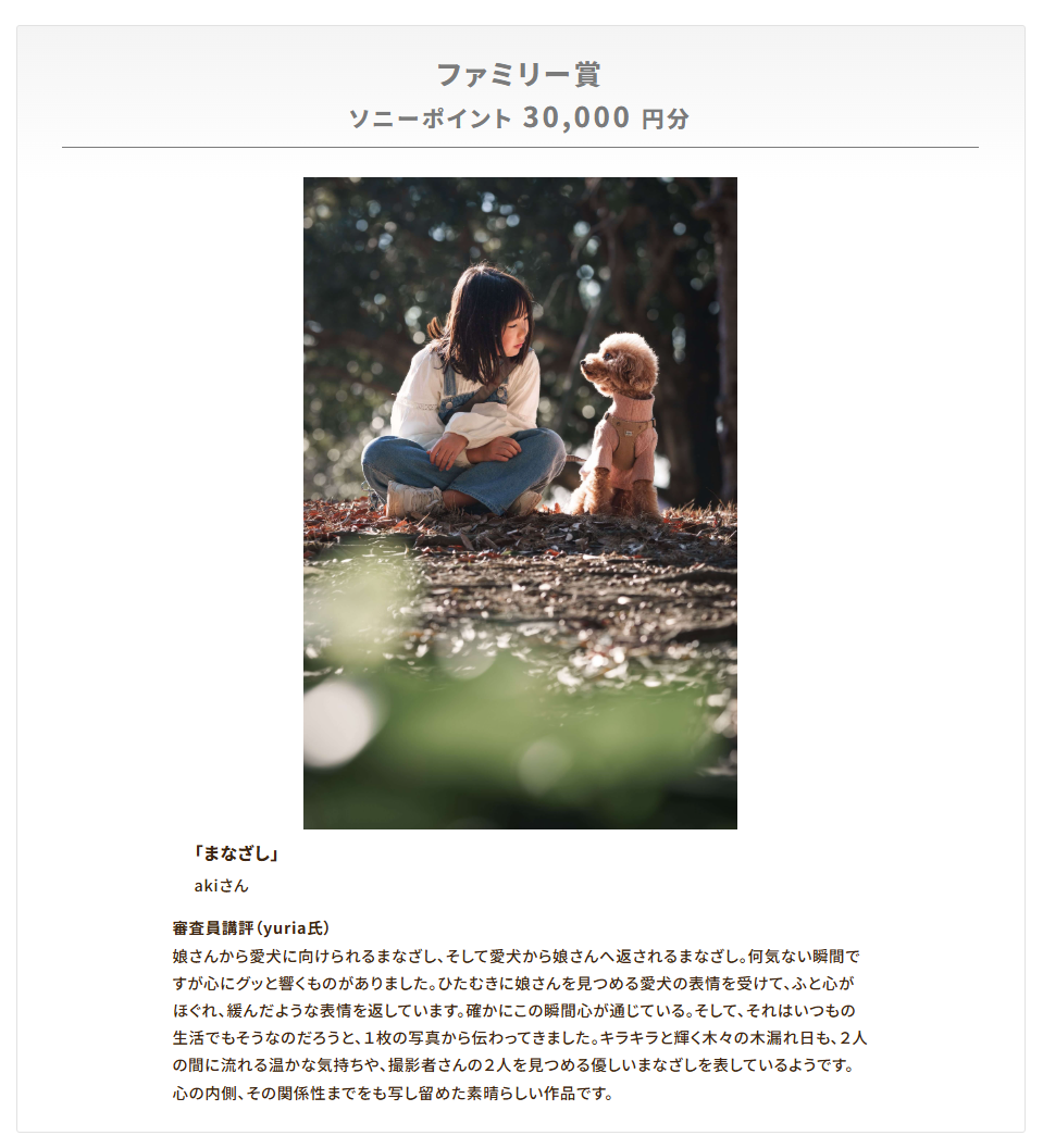 ファミリー賞「まなざし」