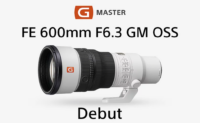 SEL600F63GM