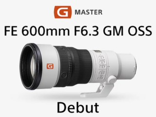 SEL600F63GM