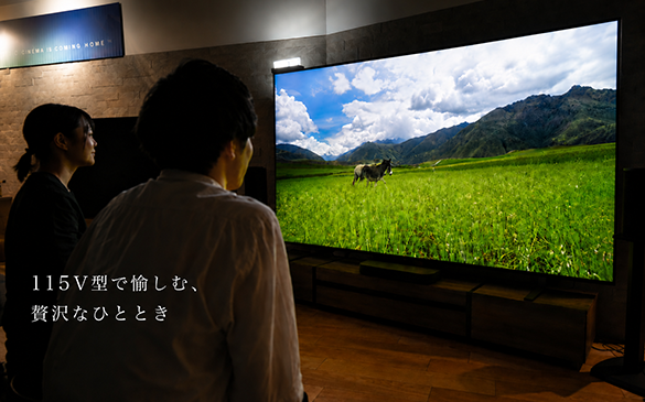 BRAVIA 9 II 115V型をじっくり体験