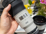 SEL600F63GM 納期