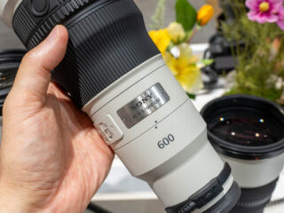 SEL600F63GM 納期