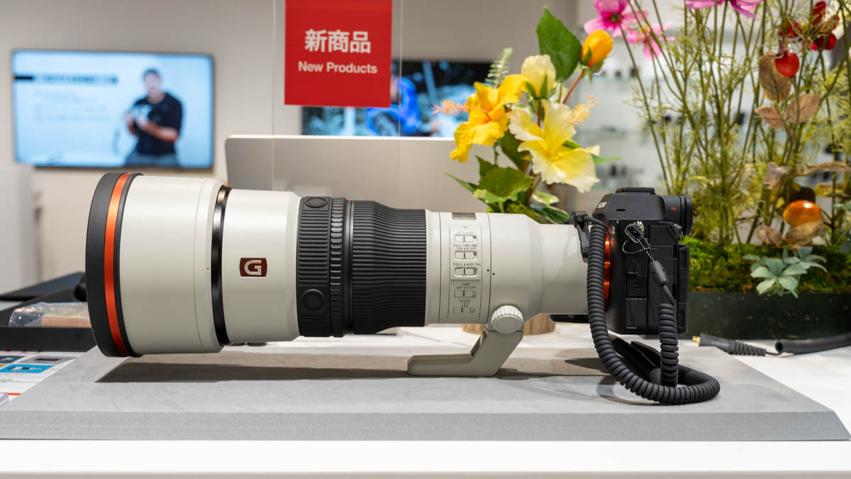 FE 600mm F6.3 GM OSS