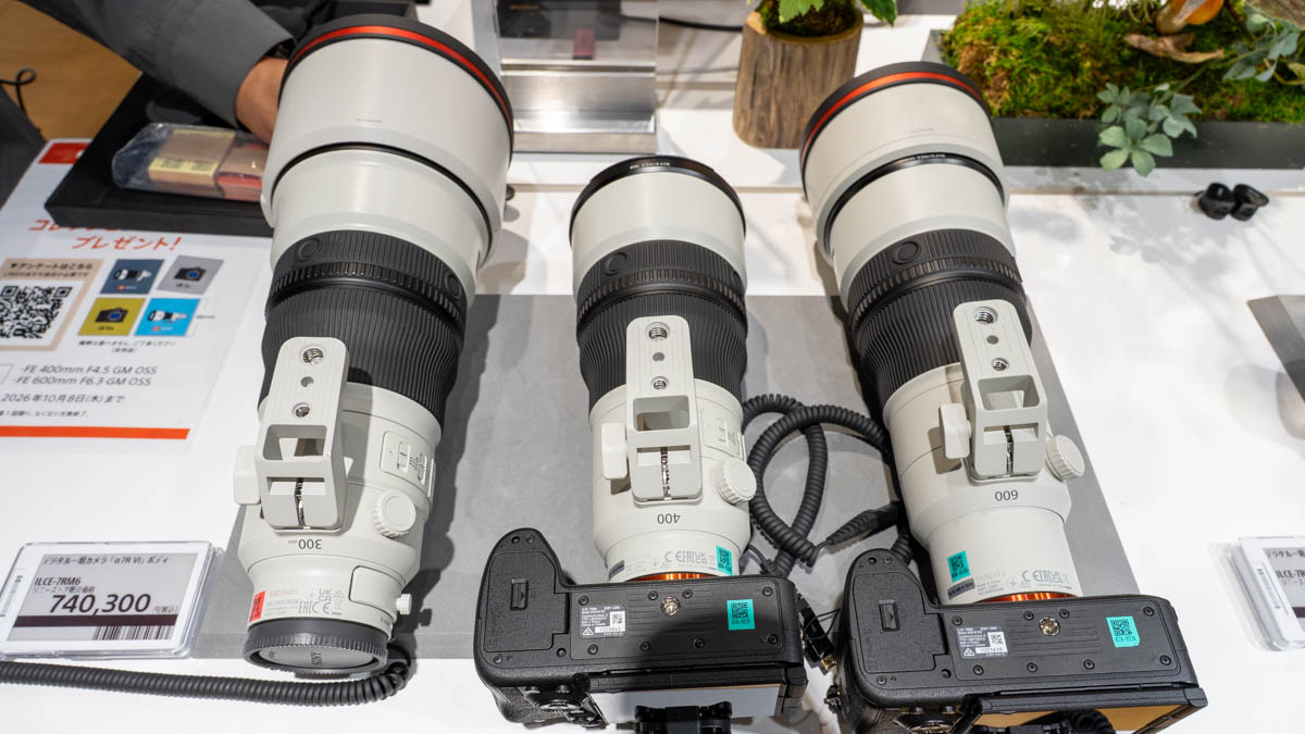FE 300mm F2.8 GM OSSとの比較