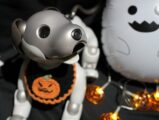 aibo フォトスポット