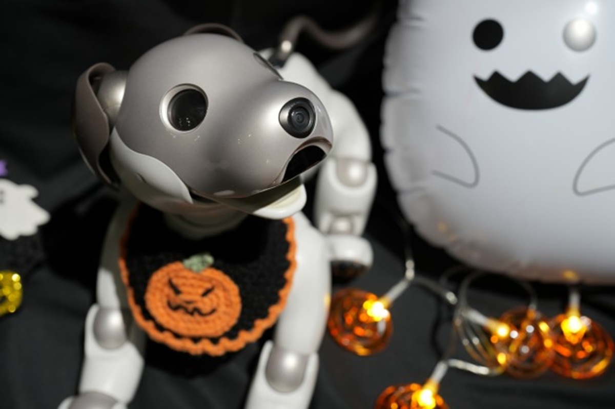 aibo フォトスポット