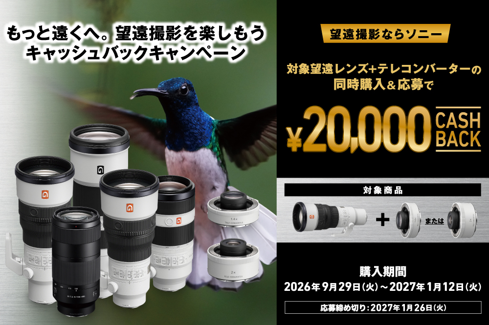 次に、その製品のキャンペーンを確認する