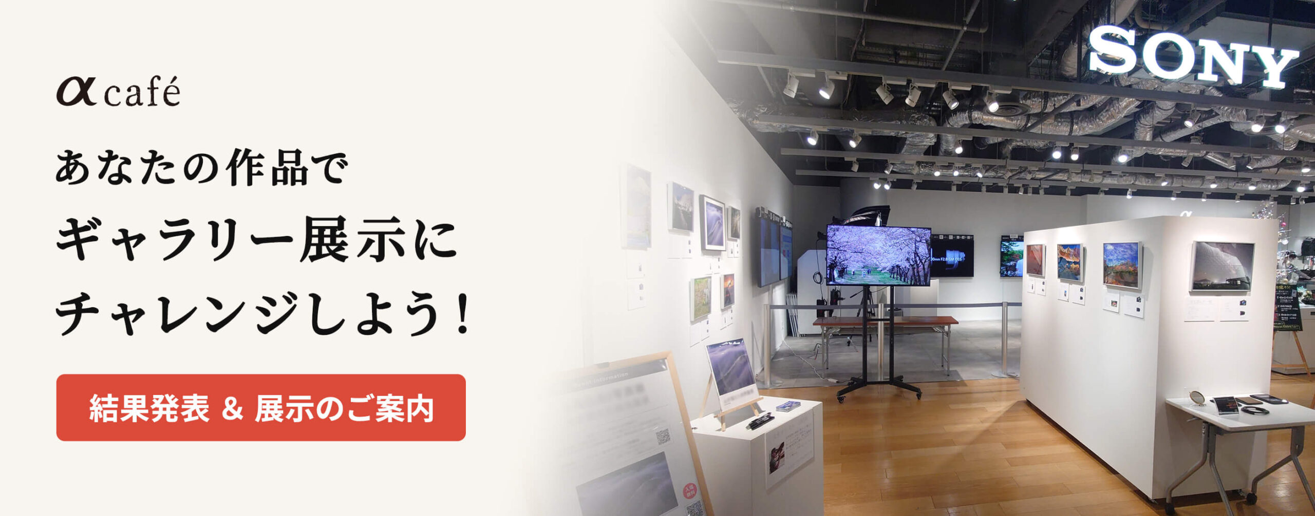 αcafe 厳選15作品