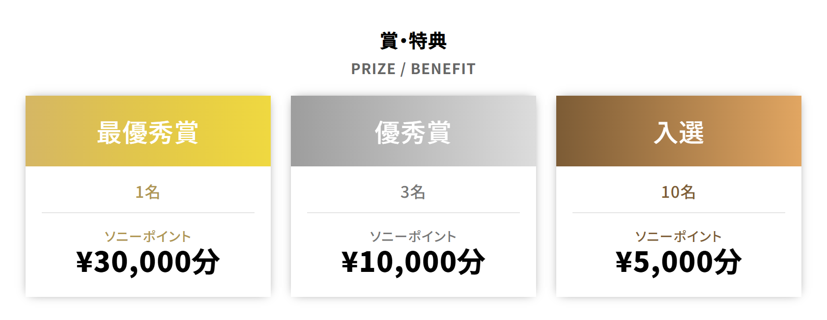 入賞特典は最大30,000円分のソニーポイント