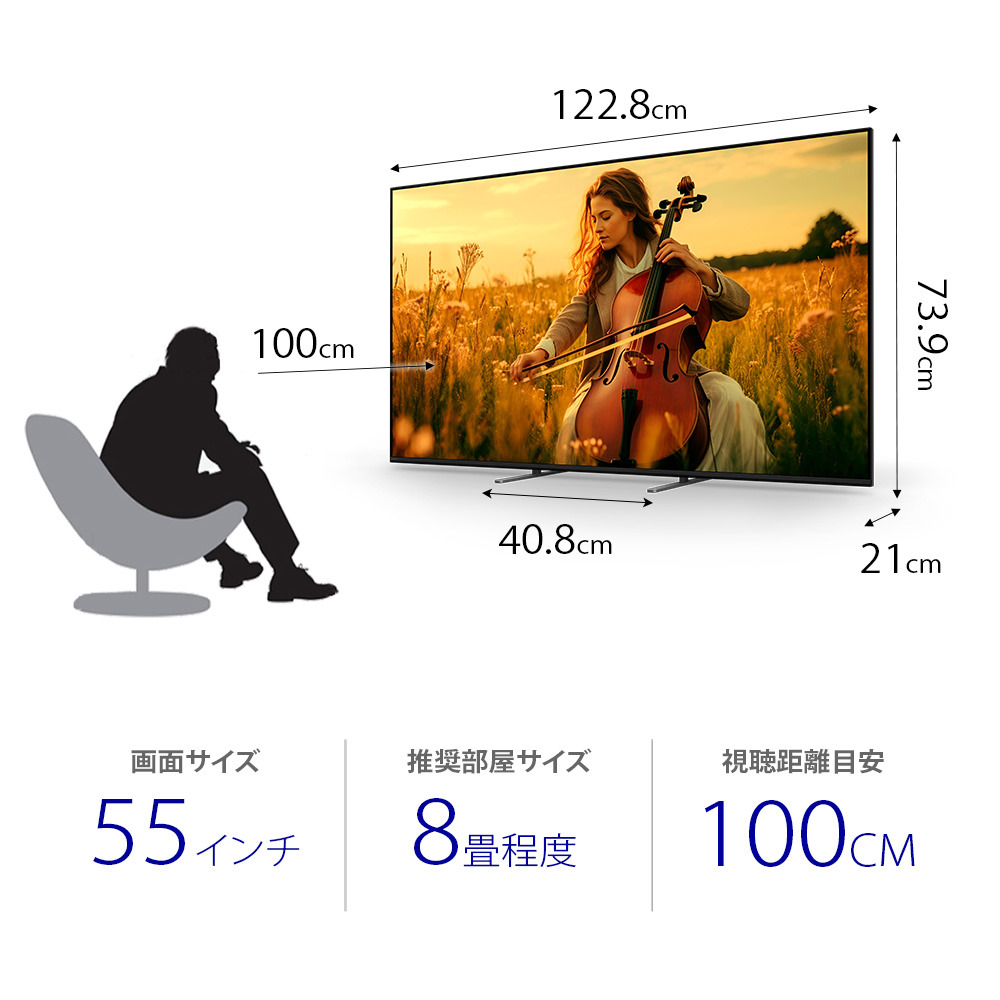 BRAVIA 5の55V型を検討中の方は注目